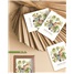 Notecards in box NCD104113